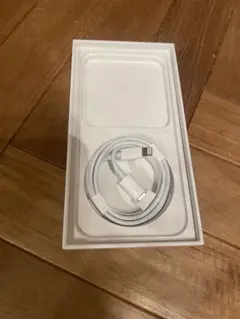 Apple純正 USB-C to Lightning iPhone12付属品