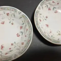 ⭐︎豪華セット⭐︎ノリタケ　お皿まとめ出品　食器おまと ノリタケ 食器 お皿 NORITAKE となりのトトロ 23cmプレート