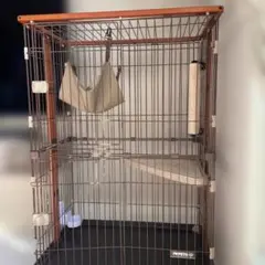 Item thumbnail for item 583d37c7-3f17-47d1-866e-73a7132609e7