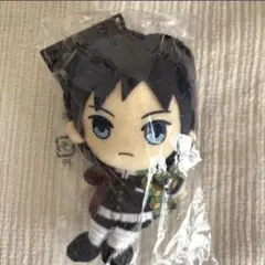 あきこ様専用⭐︎鬼滅の刃　ぬいぐるみ　冨岡義勇 chibiぬい ちびぬい