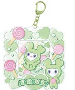 TWICE LOVELYS カードホルダー ジョンヨン