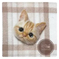 羊毛フェルト　カラーポイントショートヘアー風 ミニブローチ　猫　ハンドメイド
