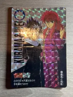 幽遊白書 幽⭐︎遊⭐︎白⭐︎書 カードダス アニメ30周年記念 ⑩ 蔵馬