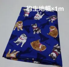 Ⓜ 柴犬 hachi ハギレ 生地 布