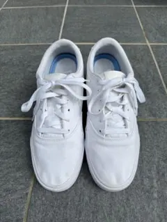 NIKE ナイキ SB チャージ ソーラー テキスタイル CD6279-100