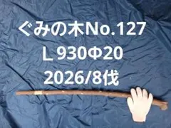 ぐみの木の柄No.127Ｌ930Φ20
