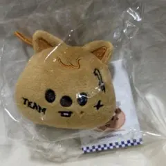 ハン straykids karma ネームタグ ポップアップ グッズ