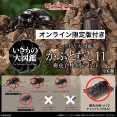 新品・未開封】いきもの大図鑑 かぶとむし11 樹皮台座付き【11セット