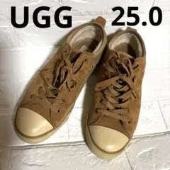 UGG ブラウン スエード レースアップ スニーカー　25.0