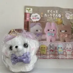 Item thumbnail for item cf5ea7c6-1942-4a98-8366-82d8a4a67c60