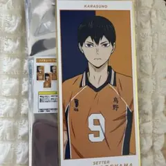 ハイキュー!! ミニ色紙 影山飛雄 日向翔陽 稲荷崎 3枚セット - メルカリ