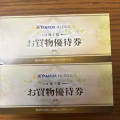 ヤマダ電機　株主様お買物優待券　10000円分