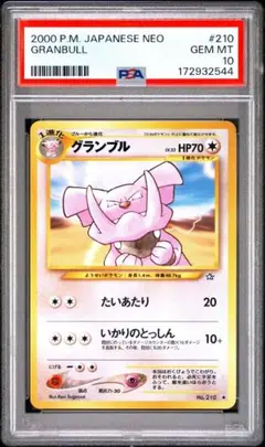 天空の守護者グラン・ギューレ PSA10 旧枠 初期 デュエルマスターズ