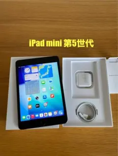 apple ipad mini