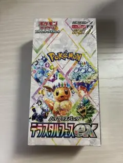 2025年最新】テラスタルフェスBOXの人気アイテム - メルカリ