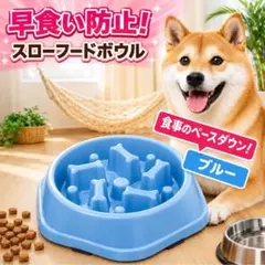 大人気⭐️早食い防止フードボウル✴︎ダイエット対策✴︎滑り止め付き✴︎犬 猫のサムネイル