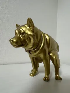 いきむ犬　squatting dog