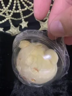 くまのプーさん マスコット ぬいグミ ぬいGUMMI ディズニーストア