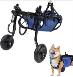 Item thumbnail for item 3234627e-2403-48fb-8d90-cf57f56b5b03