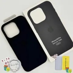 Item thumbnail for item 8cf3aa0c-acad-4dfa-bc0b-ad103d6ac64a