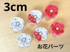 Item thumbnail for item 89d773f9-3cc7-4b81-8e8a-cc9246311a15