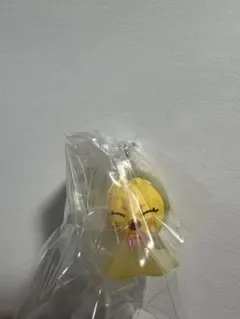 skzoo めじるしアクセサリー ポガリ