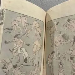 北斎漫画 北斎の絵本挿絵 北斎の絵手本 全巻11冊 岩崎美術社刊 - メルカリ