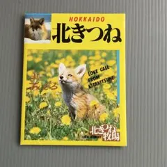 鴨川つばめ カラー複製色紙「マカロニほうれん荘」 少年チャンピオン