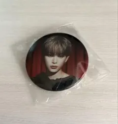 &TEAM HARUAハルア アジツ ガチャ カプセルトイ 缶バッジ