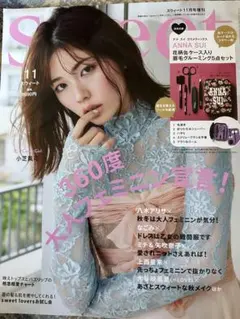 Sweet 11月号 ANNA SUI付録なし