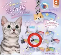 猫に願いを 流れ猫 めじるしますこっと めじるしアクセサリー しろくろ
