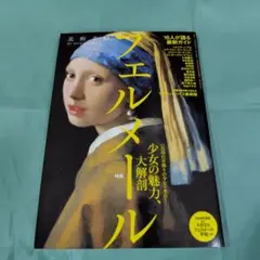 美術手帖 2012年6月号増刊 フェルメール 少女の魅力、大解剖