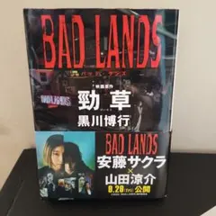 BAD LANDS 黒川博行 750円