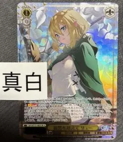 2026年最新】ヴァイスシュヴァルツの人気アイテム - メルカリ