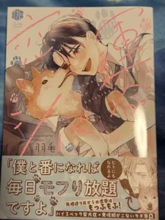 運命の恋シバ　　　羽毛