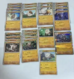 進化ライン コノヨザル オコリザル　マンキー