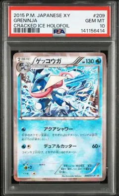 MバシャーモEX P [XY-P 138] プロモ レックウザメガバトル MバシャーモEX(レックウザメガバトル)【P】{138/XY-P}