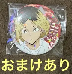 2026年最新】ハイキュー バラエティバッグ 缶バッジの人気アイテム