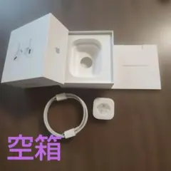 【空箱】AirPods Pro（第1世代）プラス　付属品イヤーピース・充電コード