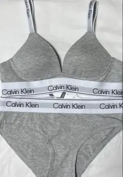 カルバンクライン上下セット ブラ×ショーツ(ロゴ付ストラップ）グレーMサイズ