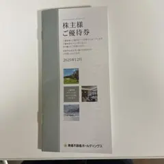 株主優待券　東急不動産ホールディングス