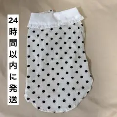 犬用 ドット柄 レース襟付き ペット服 Lサイズ