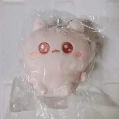 うちゃ ぬいぐるみ こつめちゃん 口閉じ