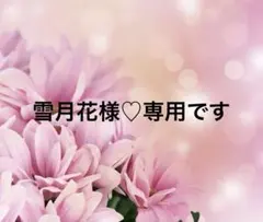 雪月花様専用ページです！