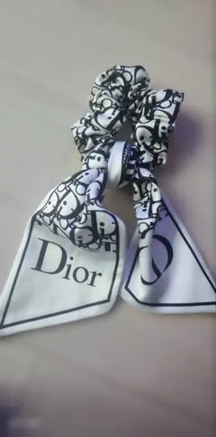 ☺︎Dior ロゴプリント ノベルティーシュシュ☺︎