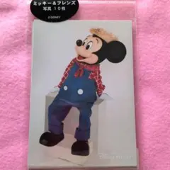ディズニーリゾート 写真セット ミッキーマウスと仲間たち