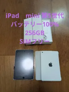 2026年最新】iPad mini 第7世代 256gbの人気アイテム - メルカリ