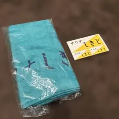 Item thumbnail for item 9e4e982e-68a0-40db-904e-2968dc7bb89b