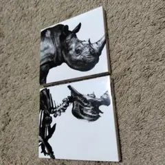 Mr.Children CD 2枚セット