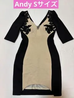 《Andy✨️送料無料》アンディ Sサイズ キャバドレス 袖あり タイトドレス